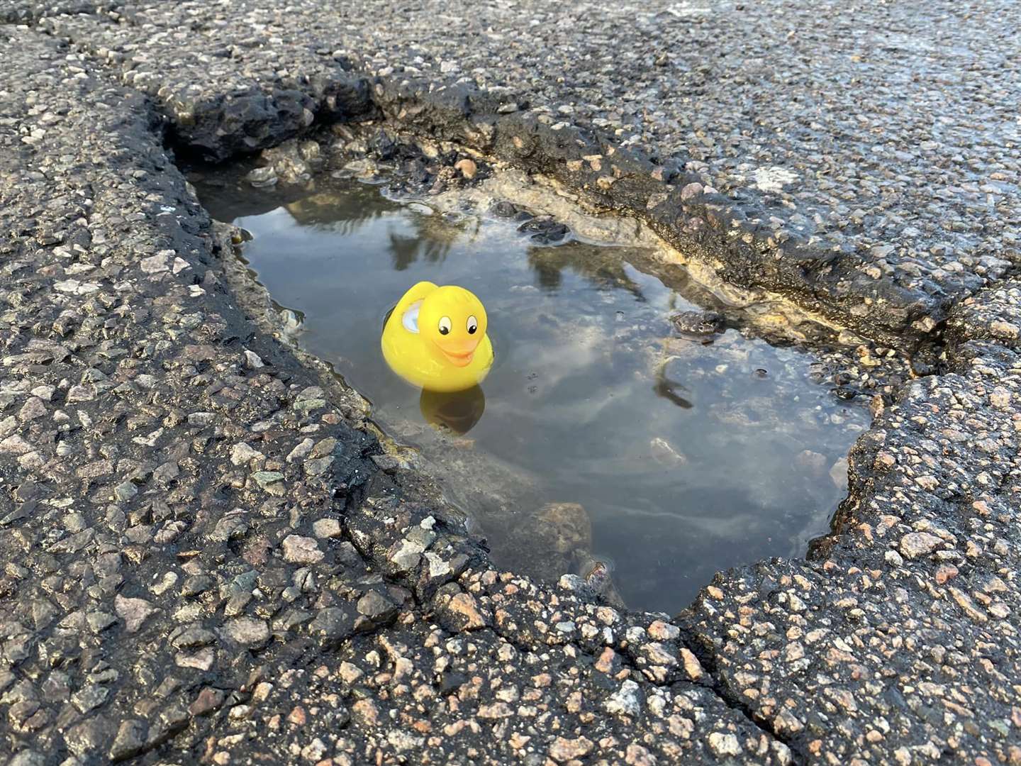 Libby the Duck is part of Liberal Democrats' campaign to report potholes in Medway. Picture: Medway Liberal Democrats