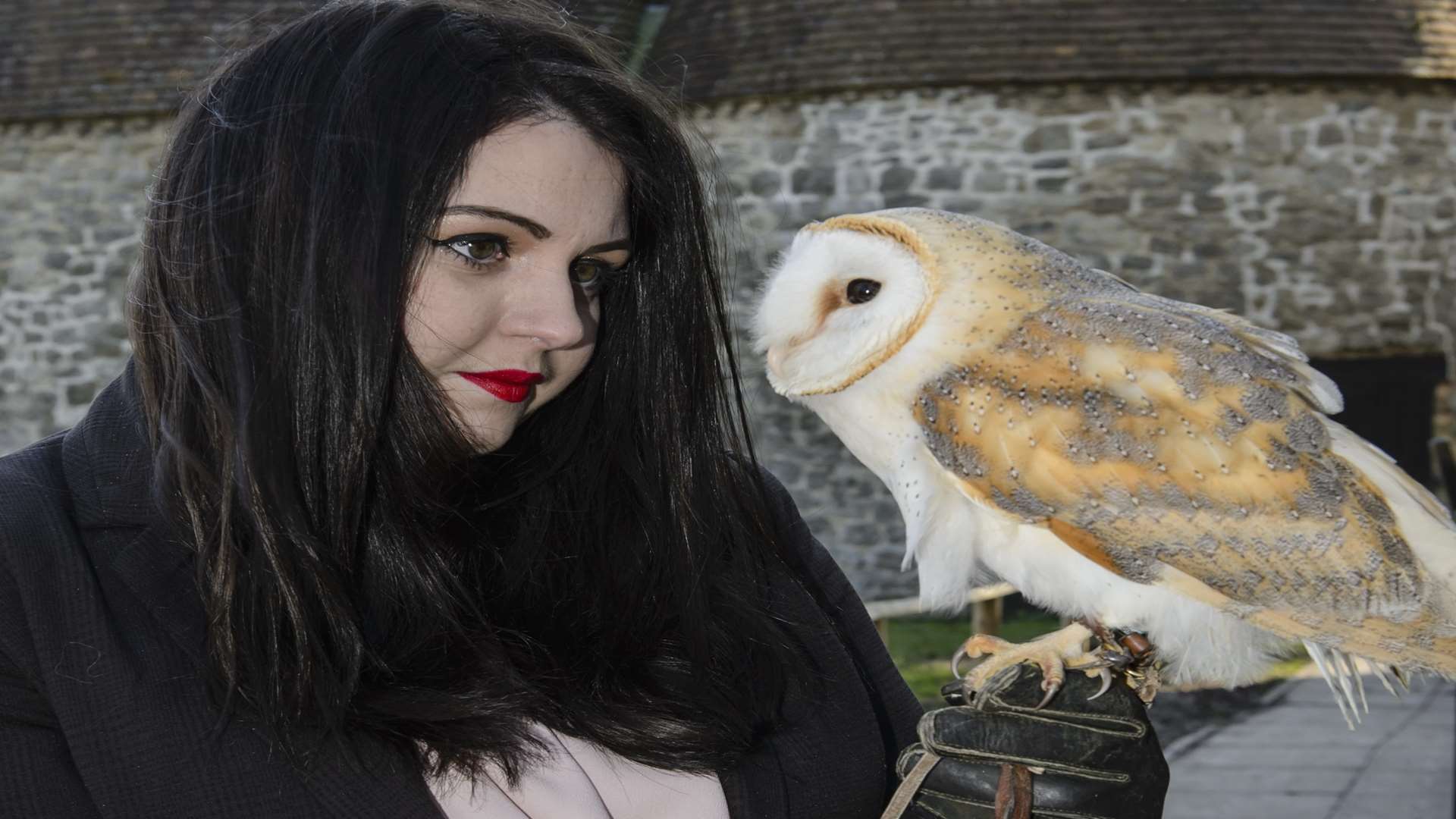 Mollie King and Dawn the barn owl at Kent Owl Academy