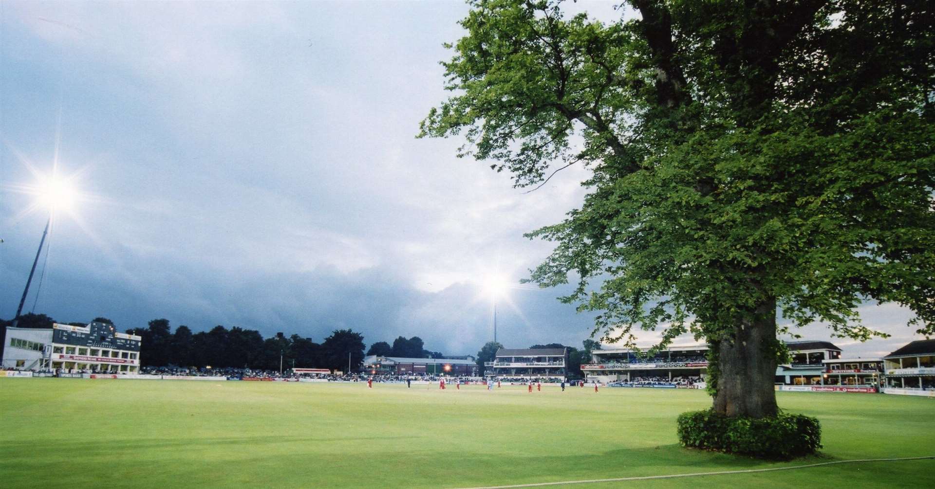 The old Lime Tree at Canterbury's St Lawrence cricket ground was in place since the early 1800s