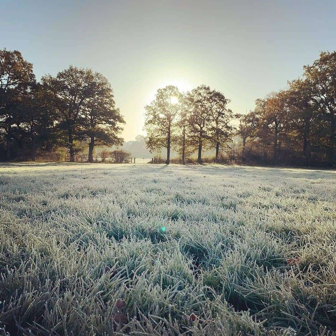 Morning frost on the Weald. Picture: @lucyintheweald