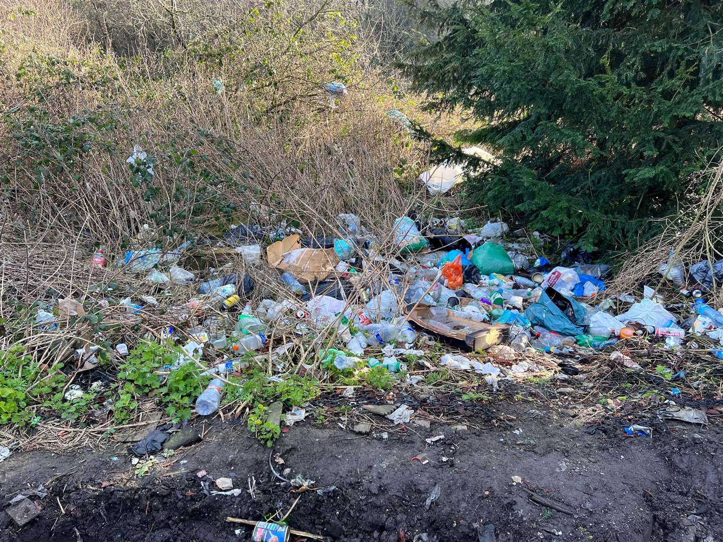Litter along the Ropersole lay-by on the A2, near Barham, Canterbury. Picture: Mike Sole