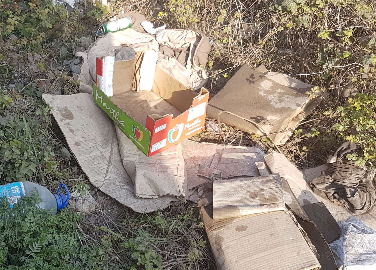 Heaps of rubbish have been abandoned by drivers