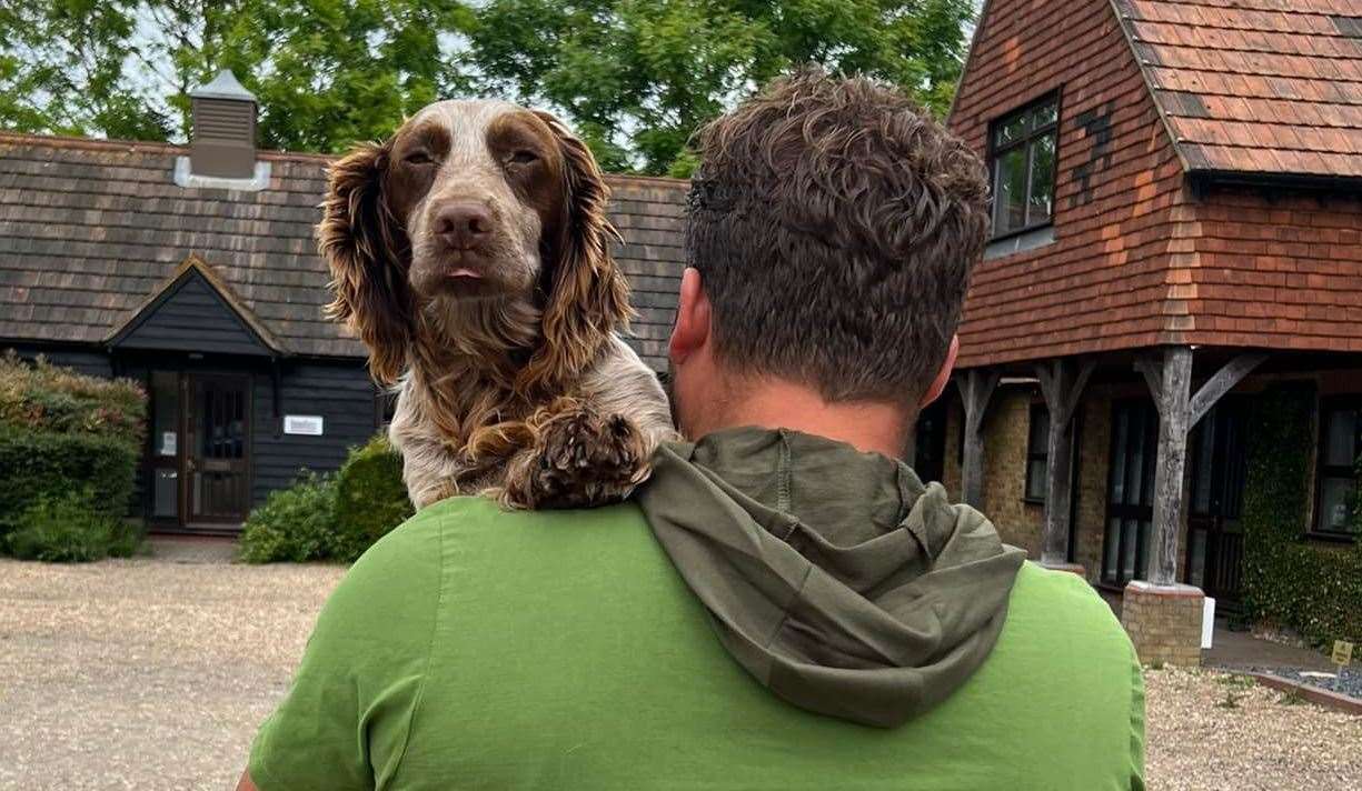 Beethoven on his way to the vets. Picture: KareBear Kennels