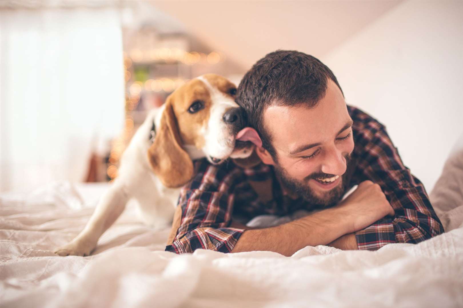 Most pets get spoiled on a regular basis according to a study. Stock picture