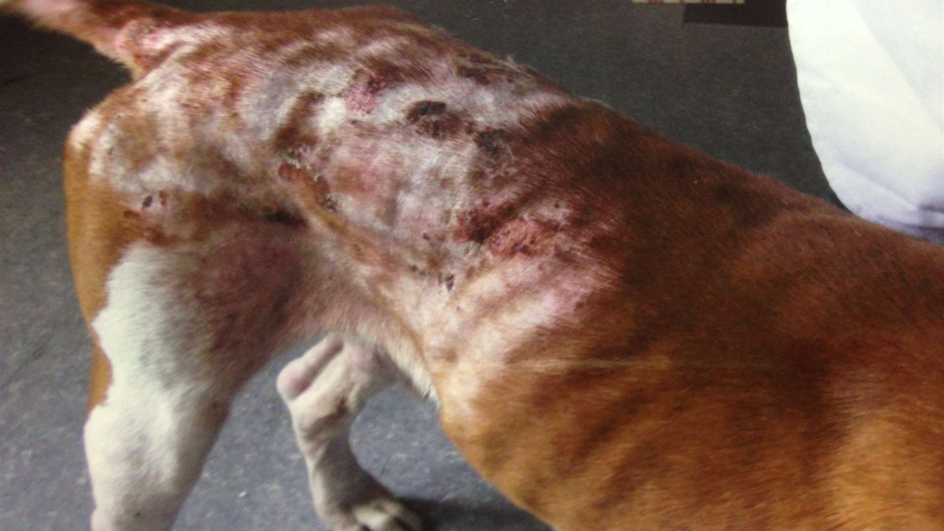 Titan's bad skin condition and under weight state