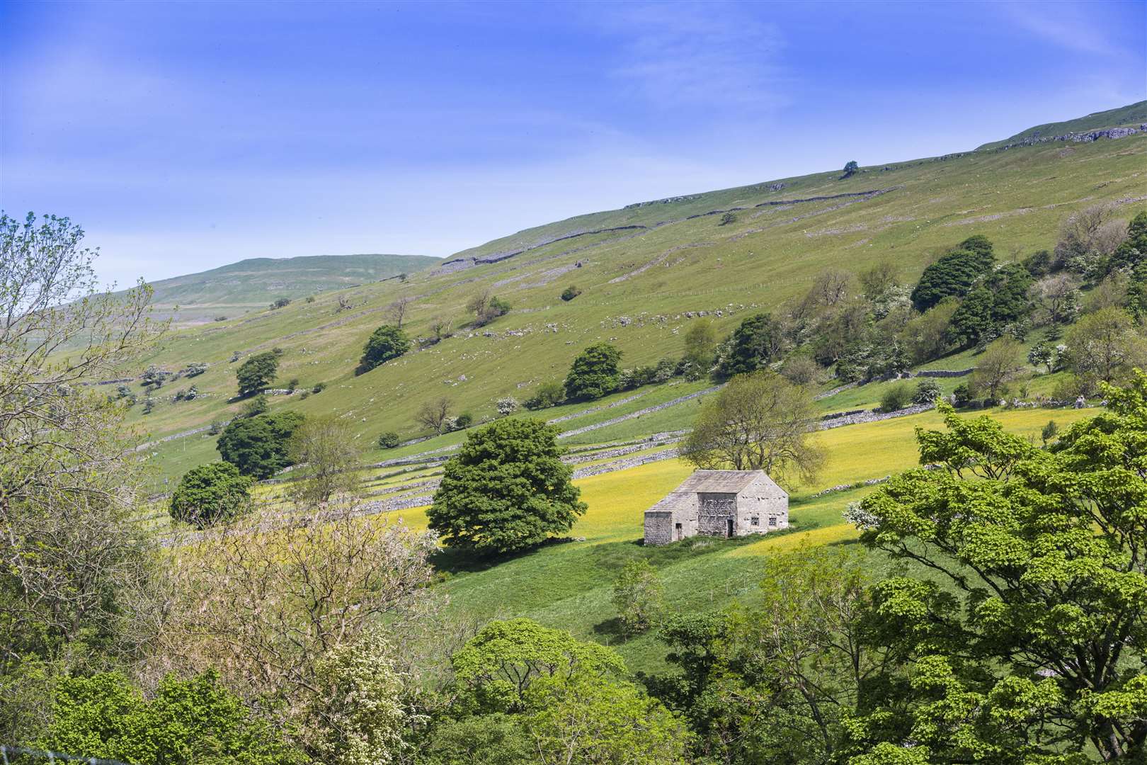The programme also covers Swaledale (Yorkshire Dales National Park Authority/PA)