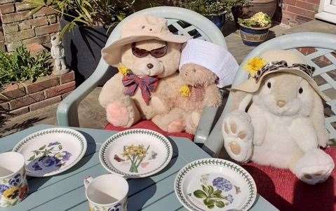 A teddy bear picnic photographed by one of Maggie's friends