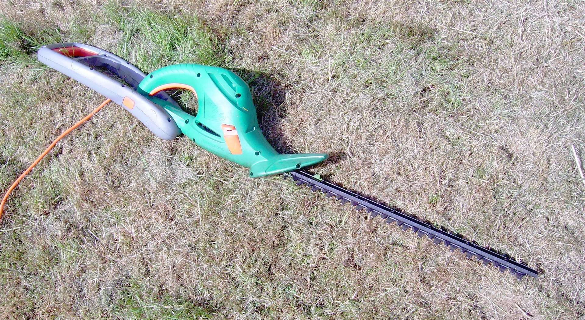 An example of a hedge trimmer. Stock Image: Wikimedia Commons