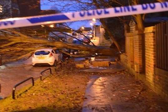A fallen tree crushes a car in Witham Way, Strood