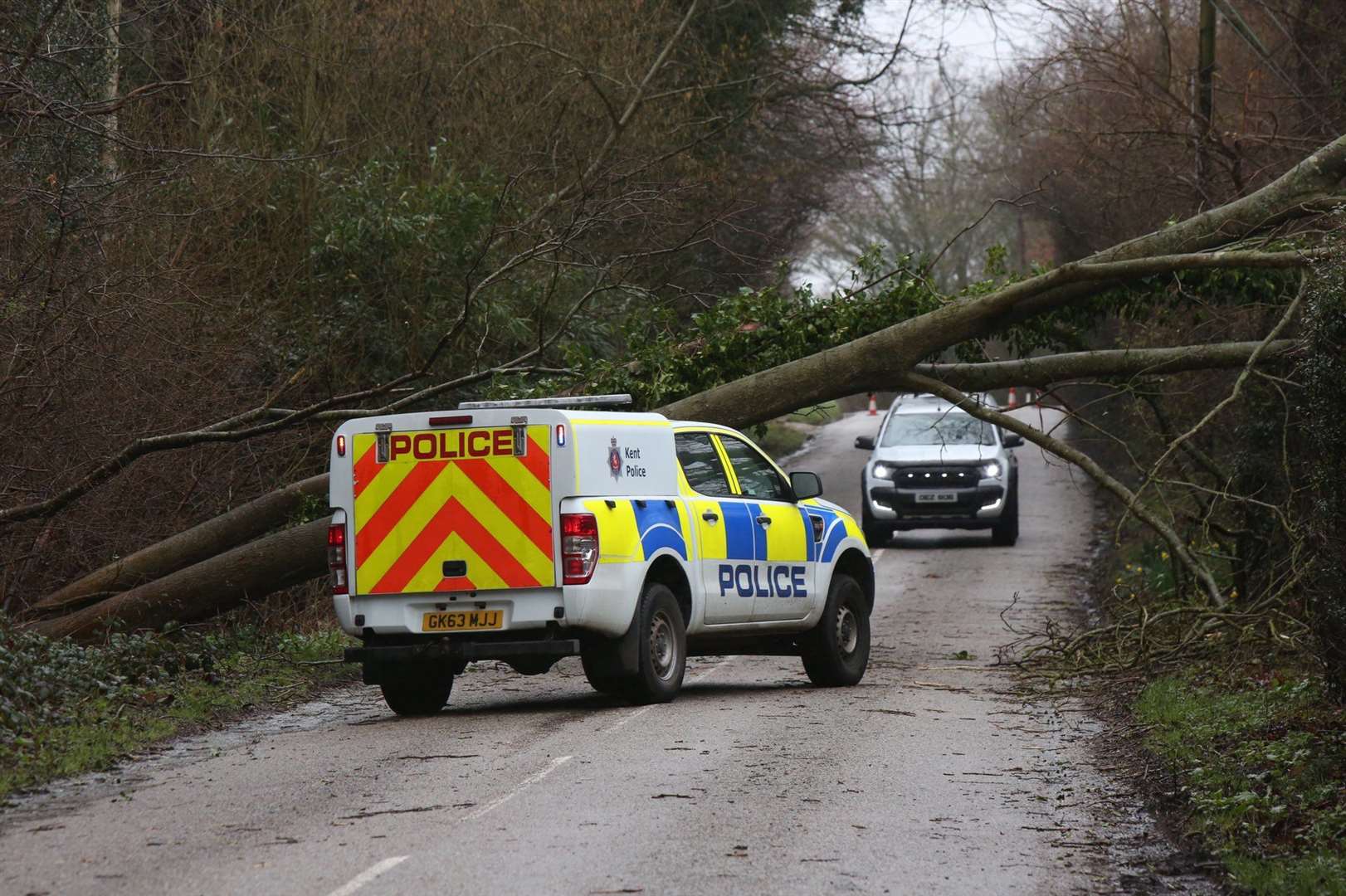 A fallen tree in Cranbrook Road, Tenterden, following Storm Dennis. Picture by UKNIP