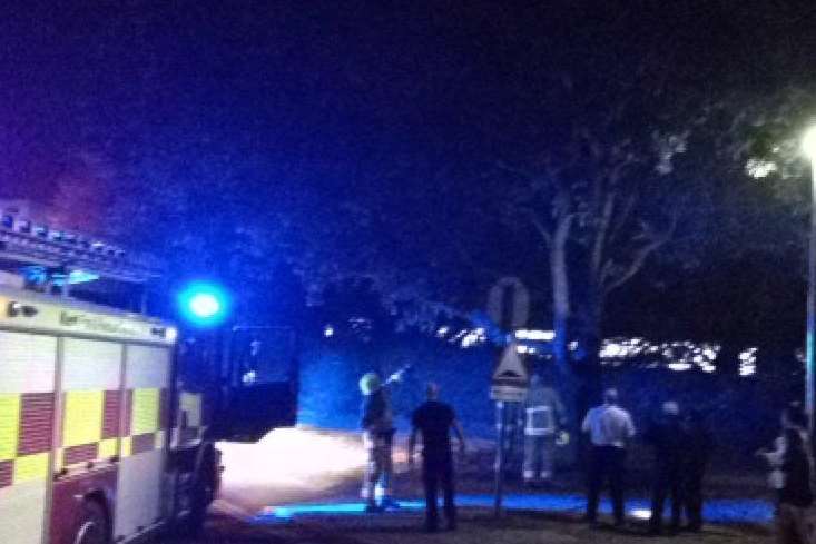 James Thorp captured the moment a student got stuck up a tree. Pic: Twitter @thorpy07