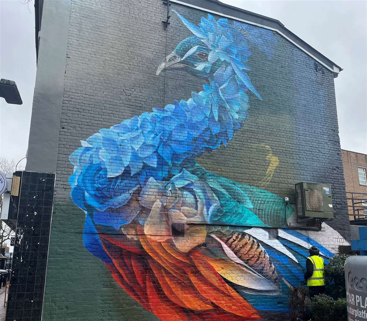 Curtis Hylton has created a huge peacock in Bank Street, Ashford