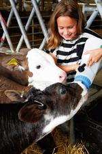 Get close to the animals at Farming World