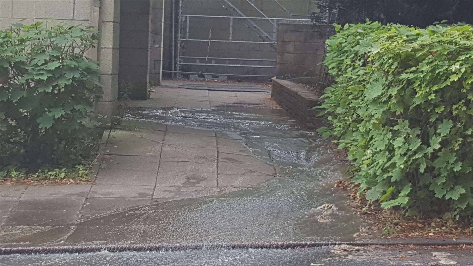 The leak is flowing towards the park (14115771)