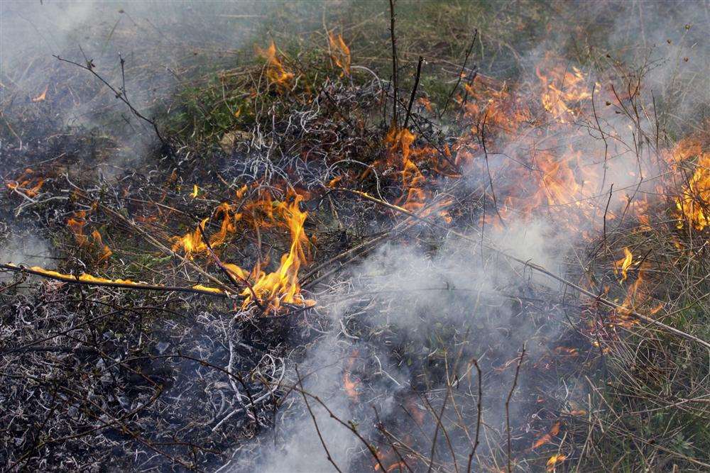Burning grass stock picture