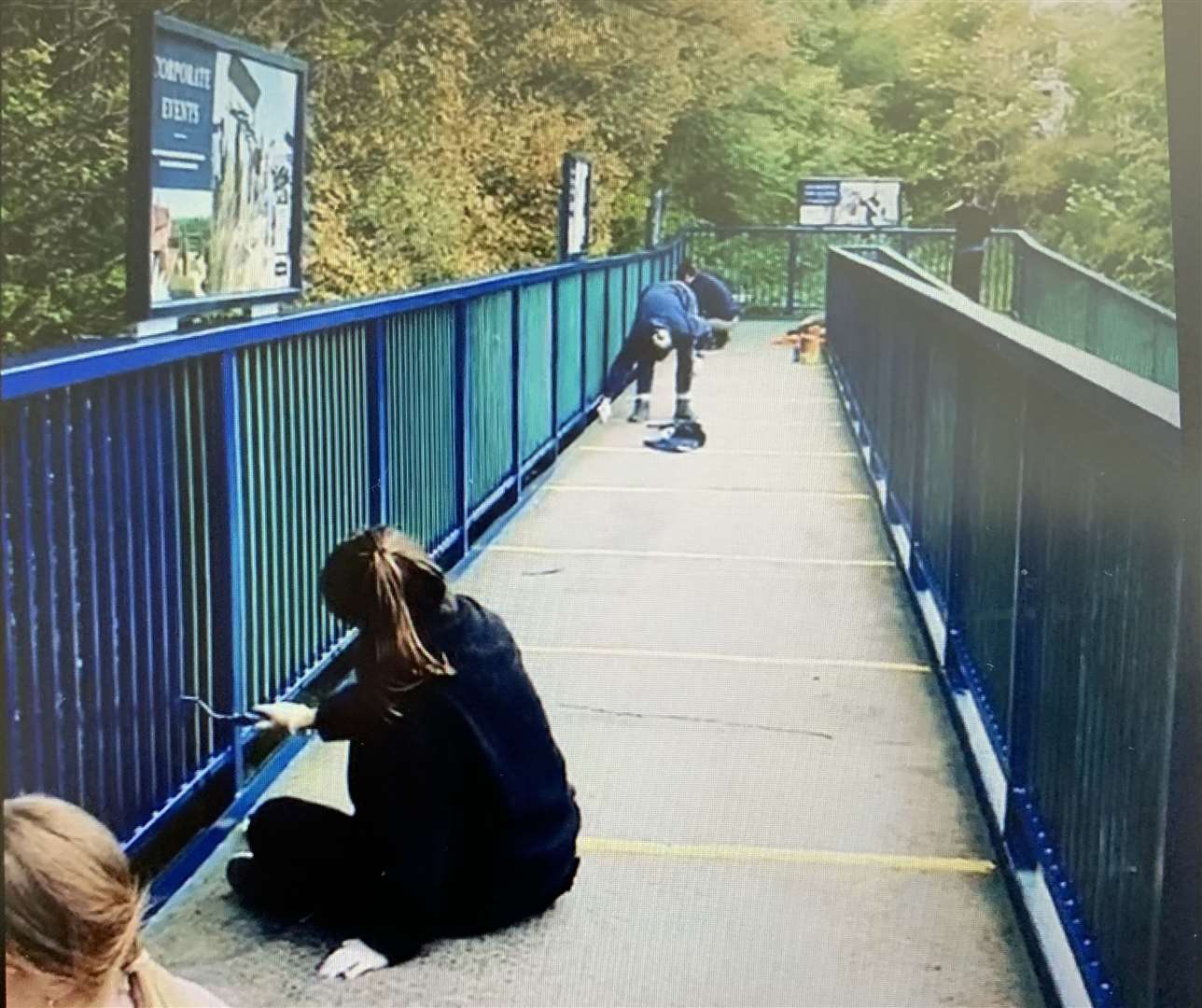 Volunteers get to work repainting the entrance bridge at Port Lympne