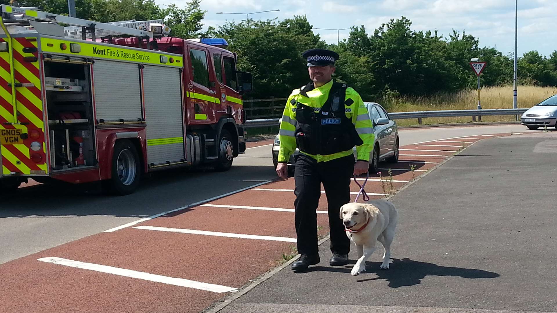 A Labrador from the Range Rover being walked by police