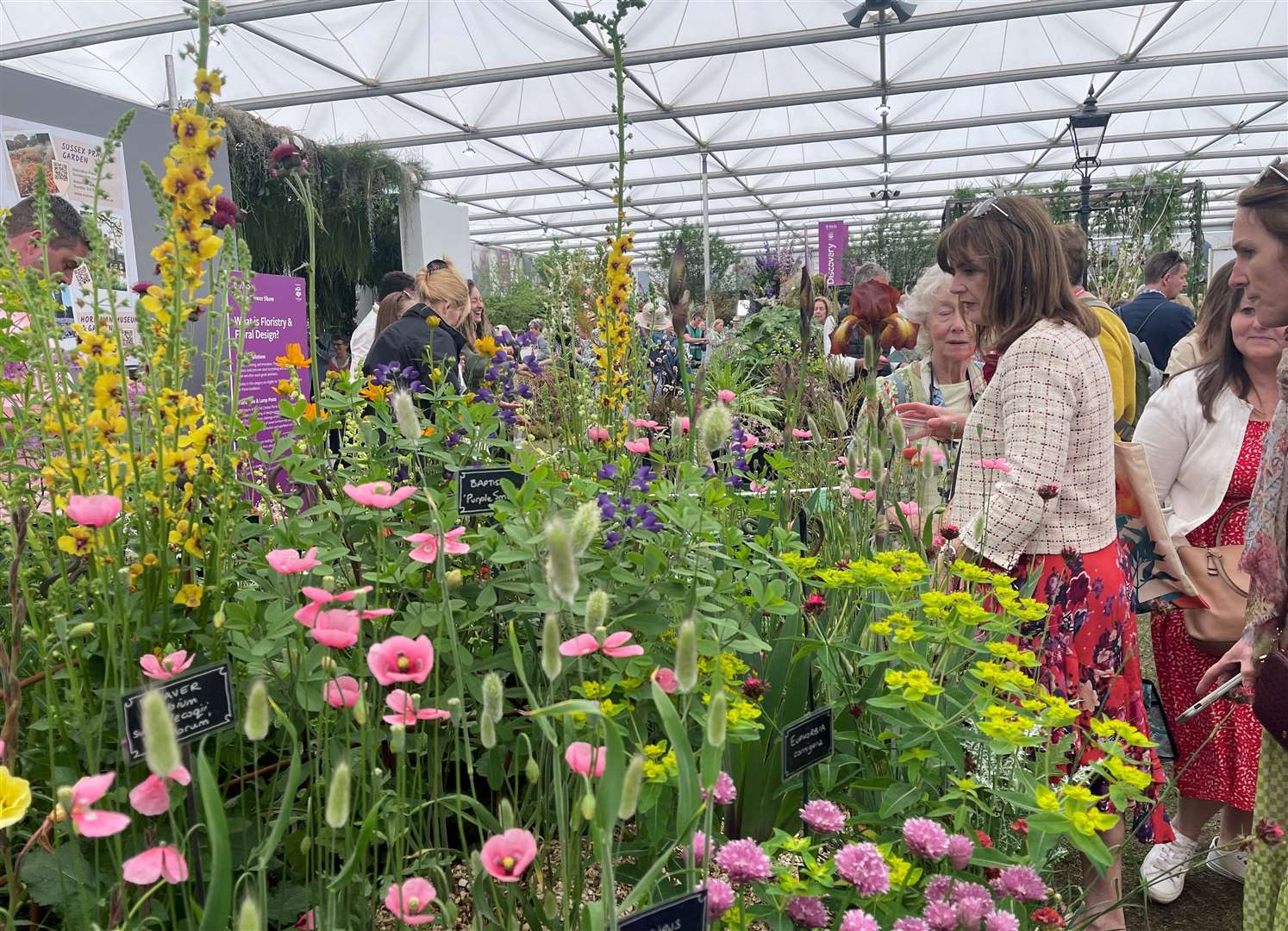 Visitors flocked to the Plant Fairs Roadshow stand at last year’s RHS Chelsea Flower Show. Picture: Vikki Rimmer