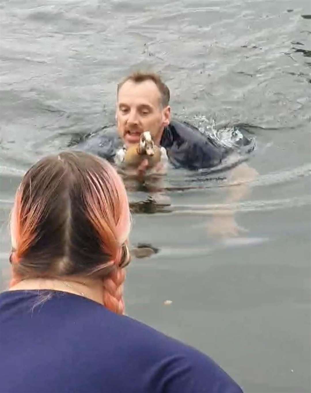 Swan rescuer Danni Rogers jumped into Brooklands Lake to rescue the goose. Photo credit: Dartford Animal Rescue