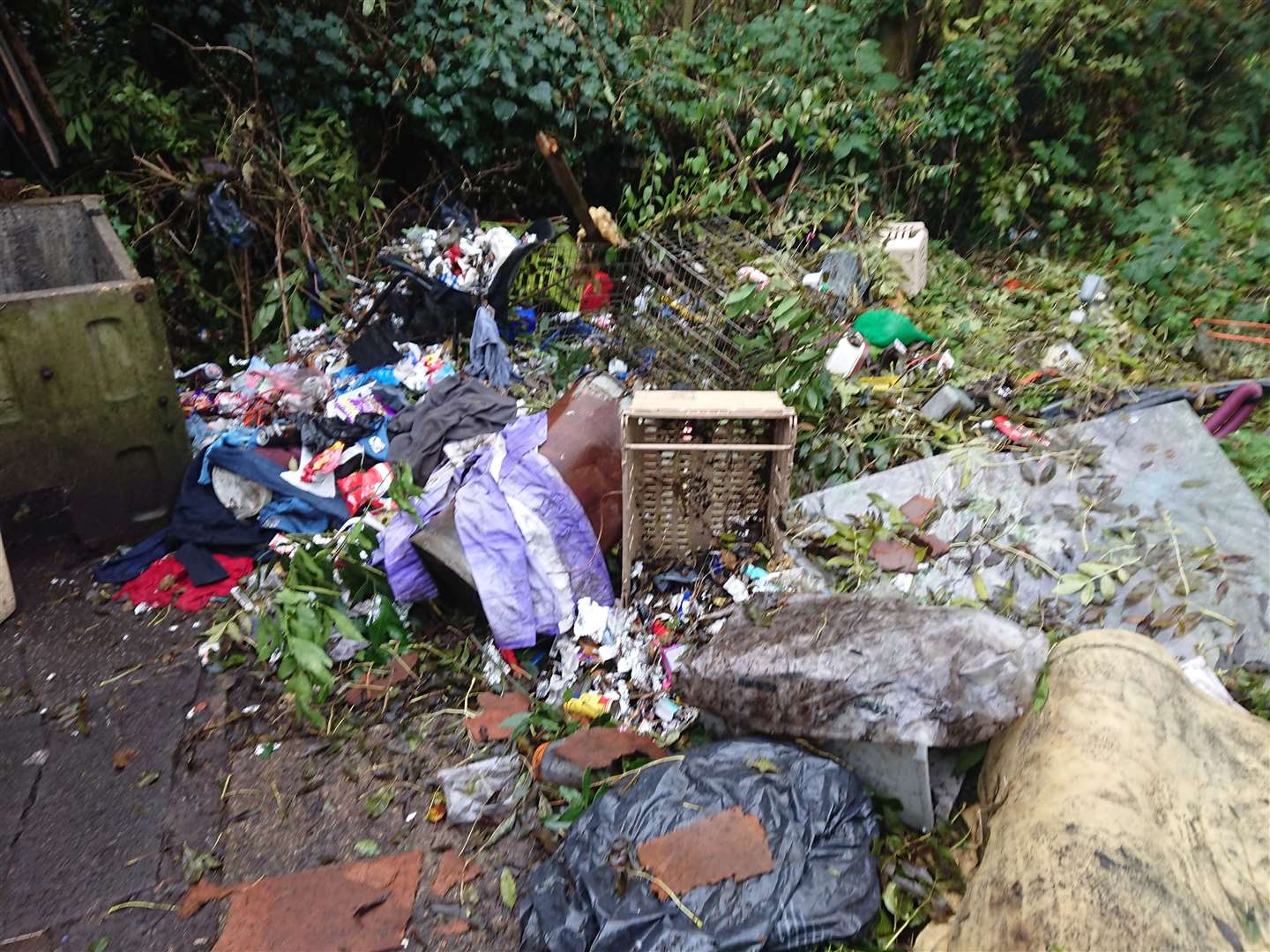 Rubbish has been strewn in the overgrown garden behind the abandoned property