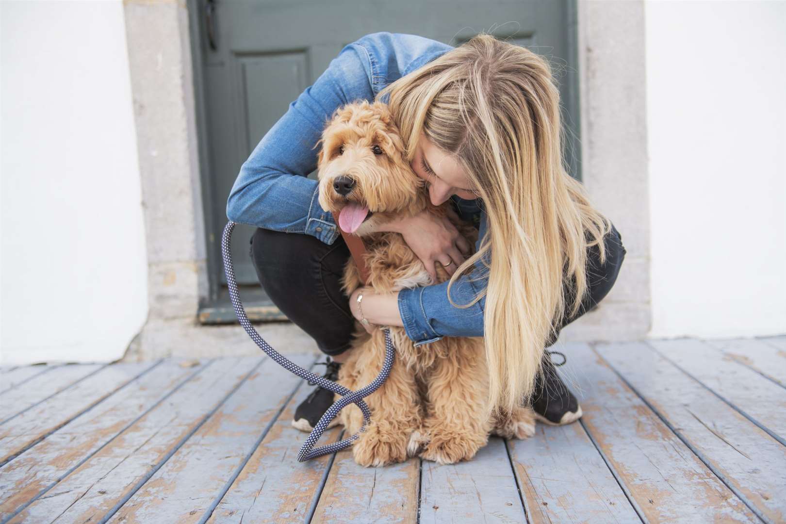 A pleasant walk with your pooch can strengthen your connection with them. Stock picture