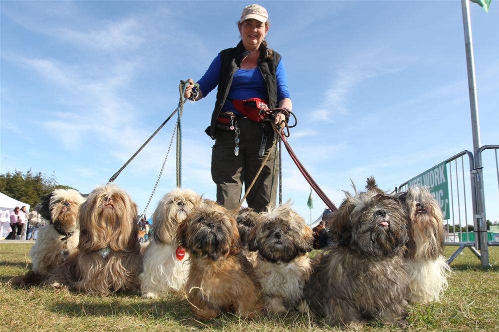Sarah Mabe with 10 Shih Tzu dogs at last year's Paws in the Park