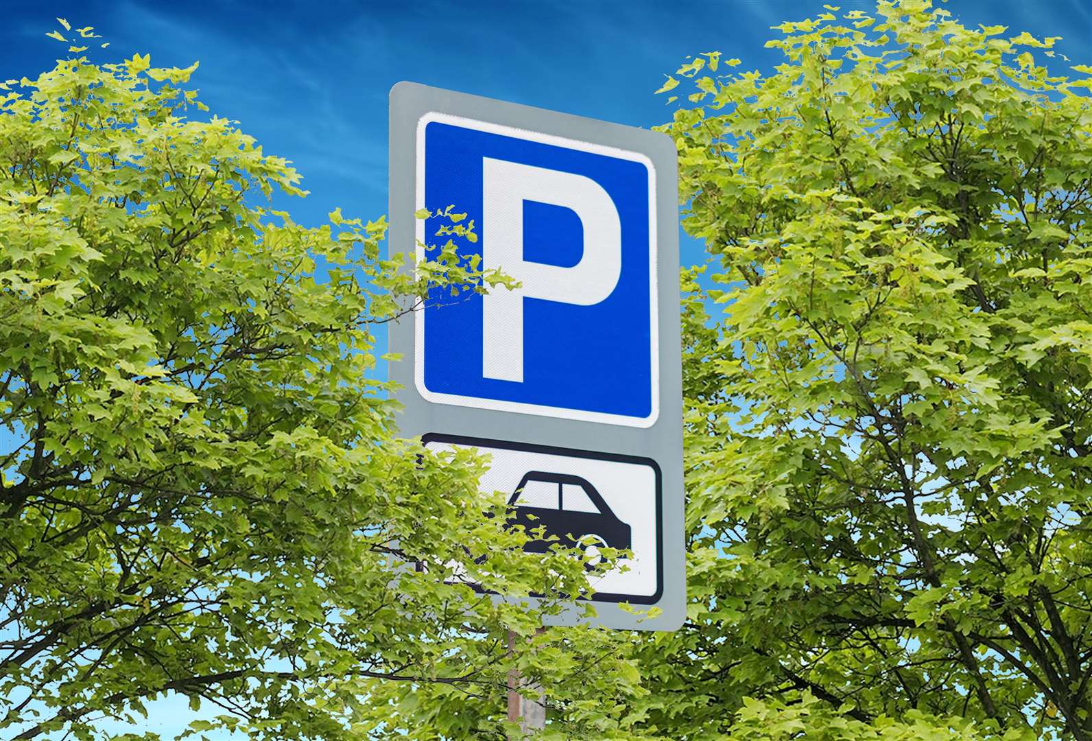 Could trees screen car parks in Canterbury?