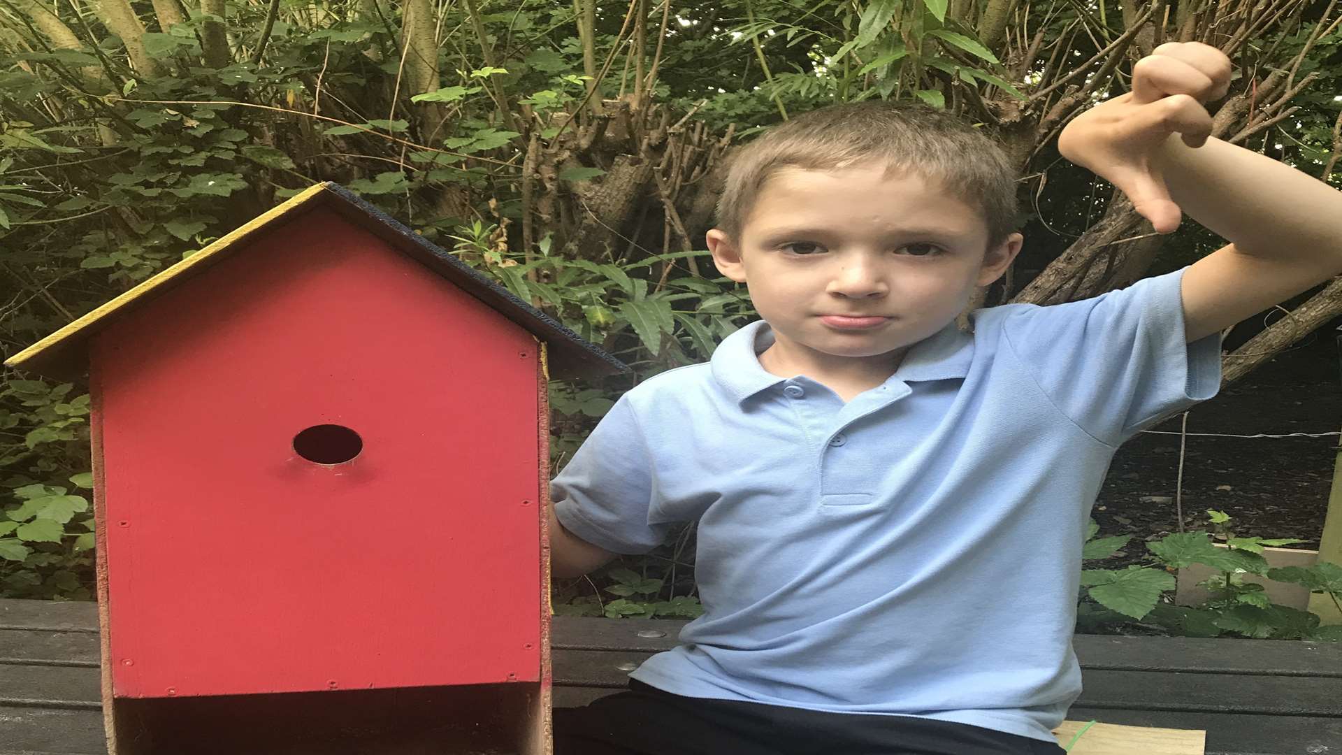 Seth Page, six, made this bird box which appeared to have been tampered with