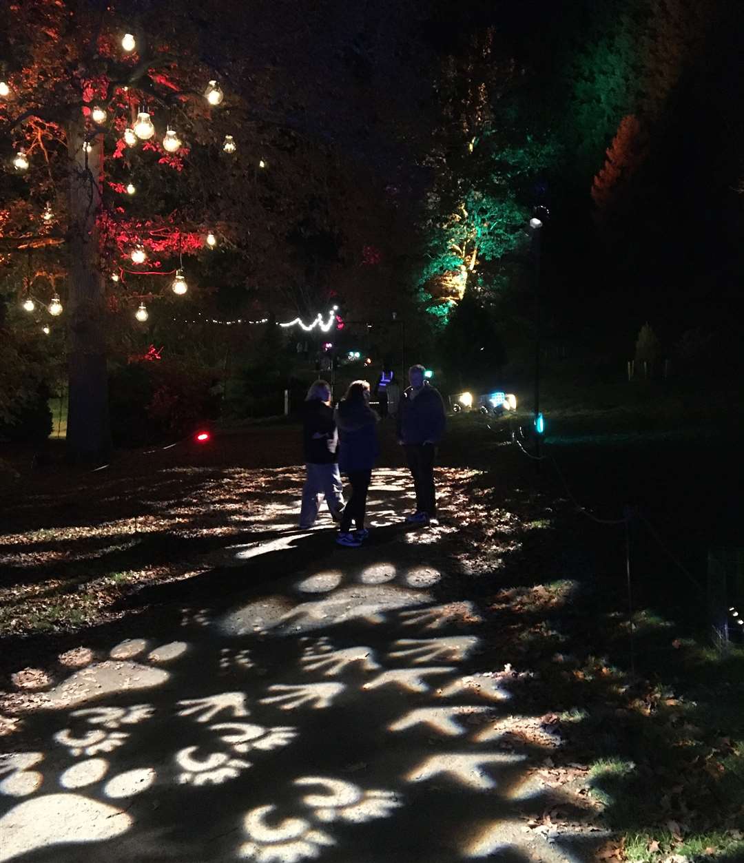 You can walk as slowly as you like around Christmas at Bedgebury Picture: Angela Cole/KMG