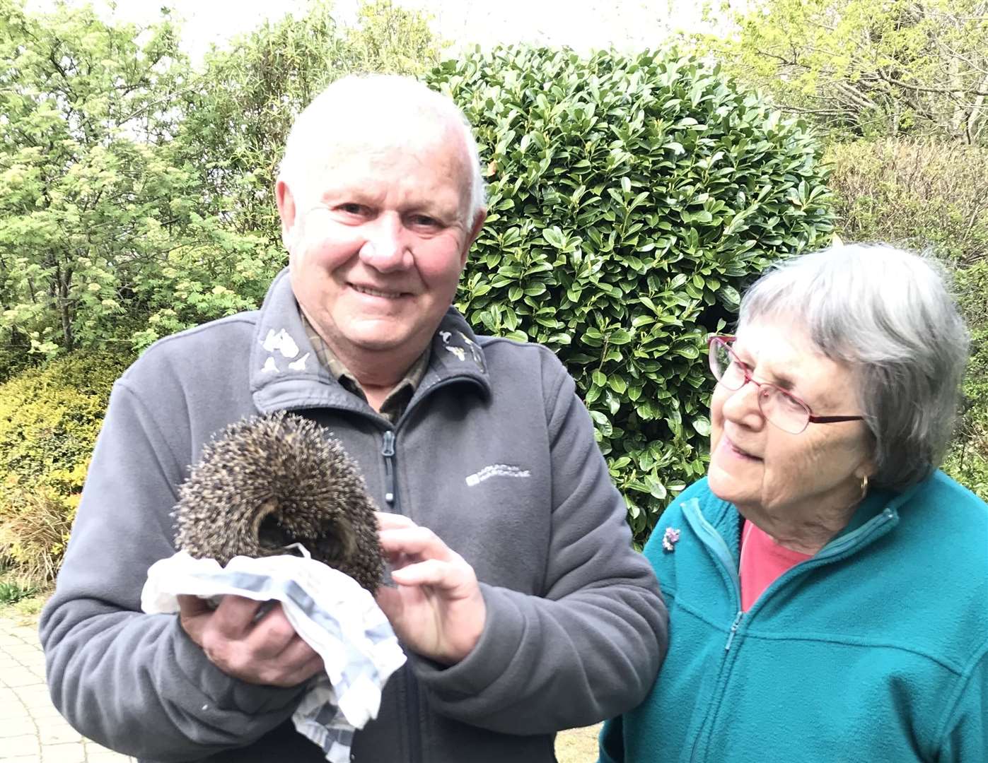 Molly and Alan Cecil have spent 20 years working on the Collis Millenium Green. The are pictured here with a hedgehog they rescued and rehomed in the park