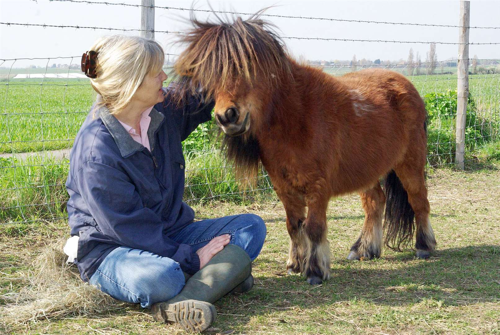 Co-founder Teresa Bloomfield with Joshua, a Shetland who had a heart condition. He came to the charity in 2004 and was just 27 inches high