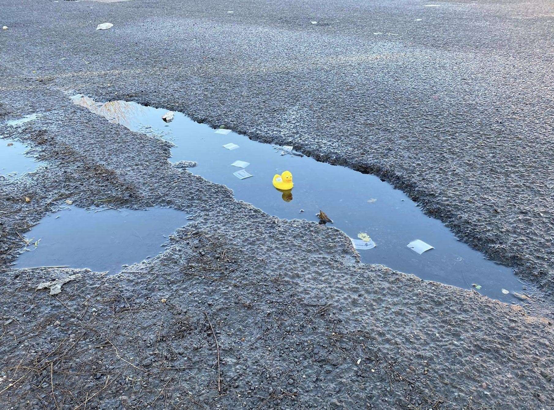 People are being encouraged to post pictures of Libby the Duck as part of a campaign to report potholes. Photo: Medway Liberal Democrats