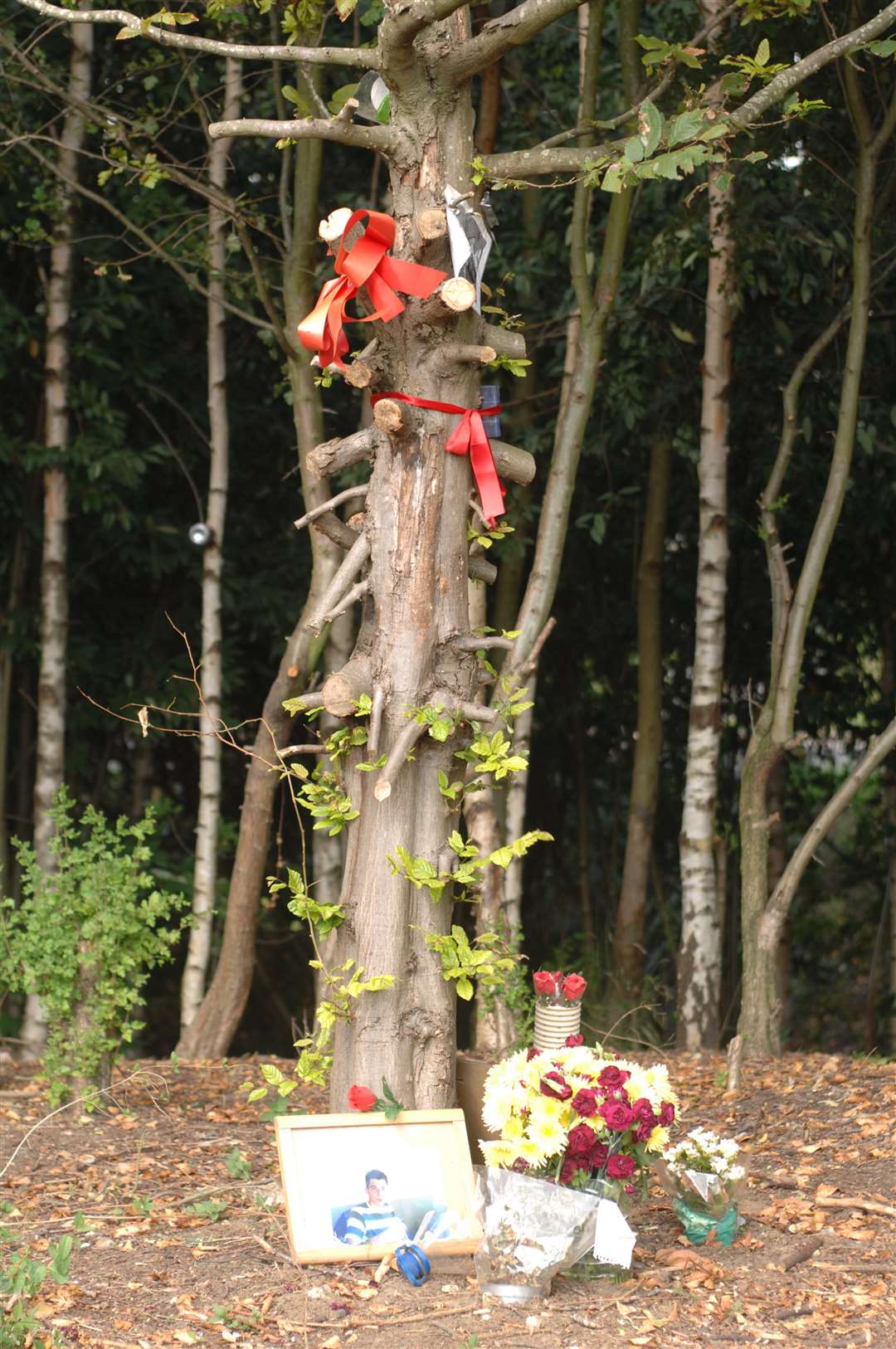 Tributes and pictures left on a tree near to where Ashley Dighton body was found in the woods in 2007. Picture: Gary Brown