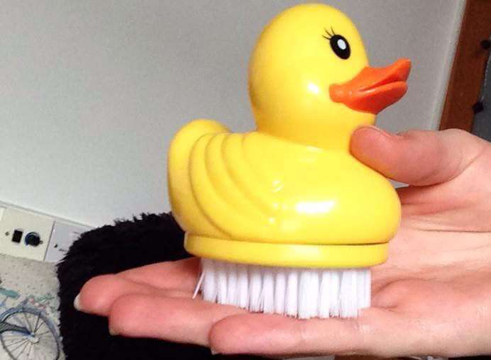 One of the many plastic ducks left by a 'stalker'. Picture: SWNS