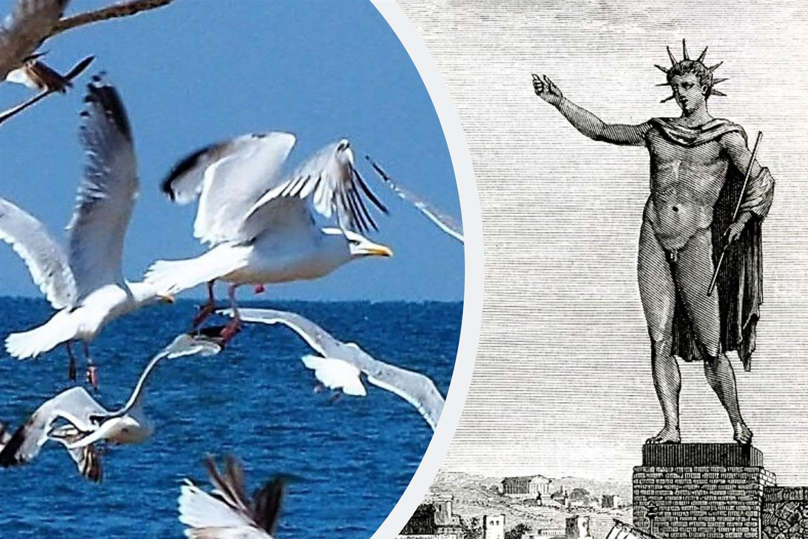Plans for a giant statue in Dover modelled on the Colossus of Rhodes were scuppered by seagulls