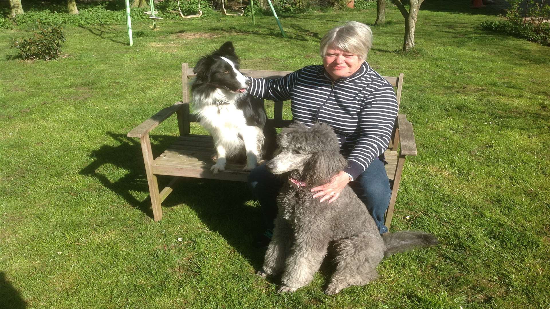 Janet Tandy, who has started the Kent Cynophobia Assistance Group, with her own dogs