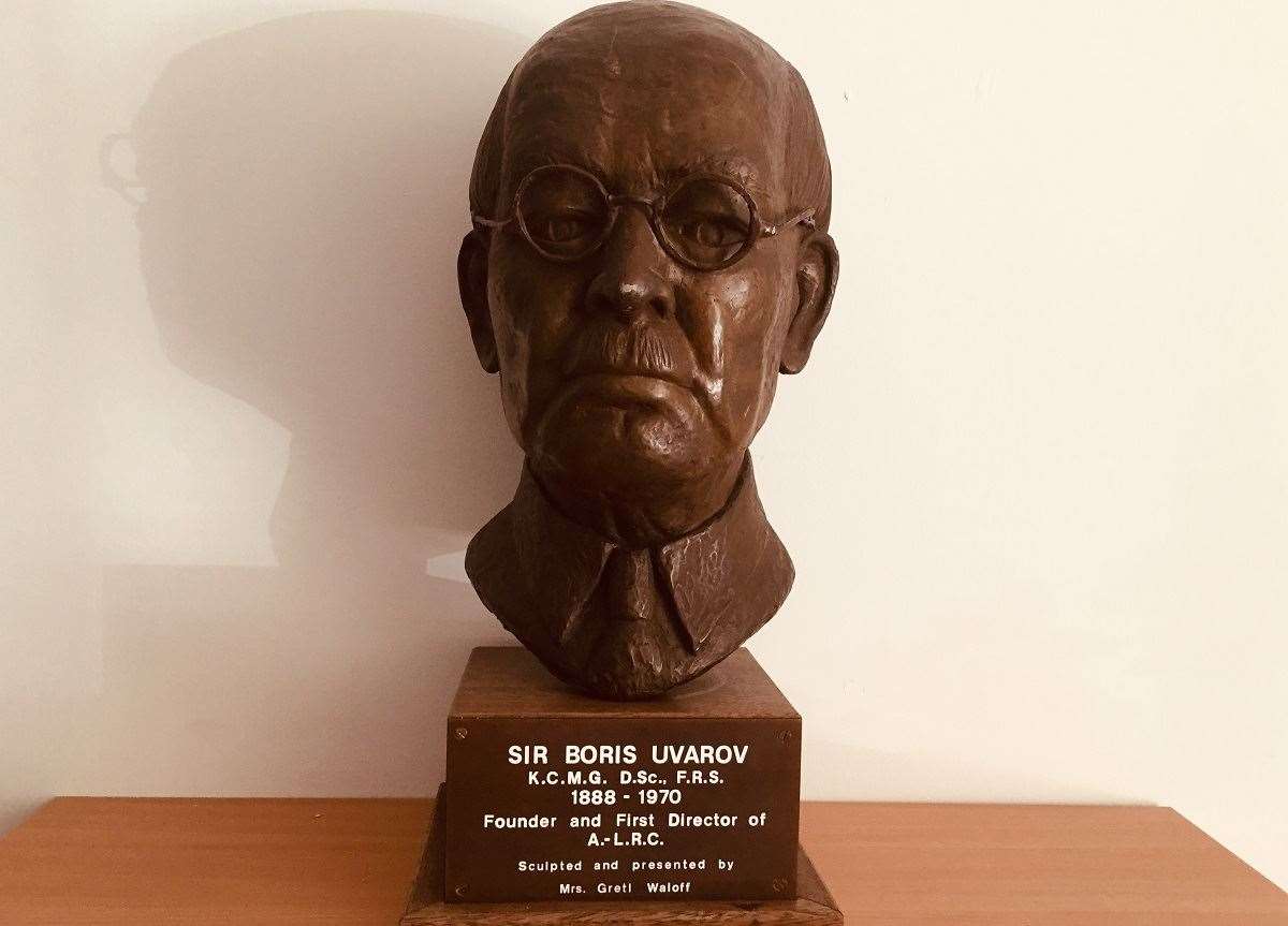 Sir Boris Uvarov was instrumental in forecasting and planning how to control locusts and his legacy remains in the important work done by NRI scientists to this day.