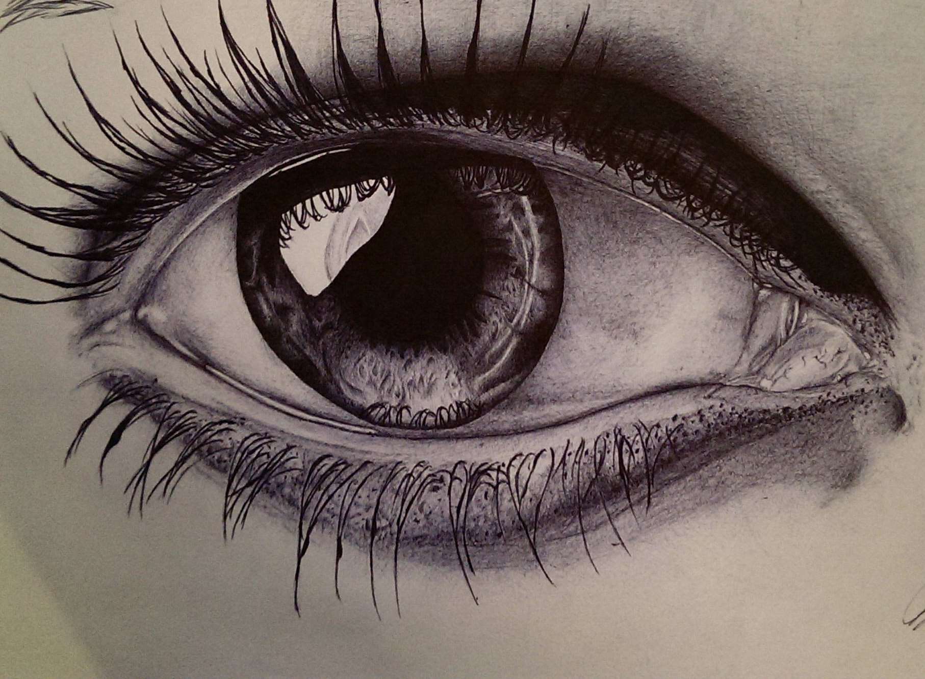 Ross captures incredible detail with a simple biro pen