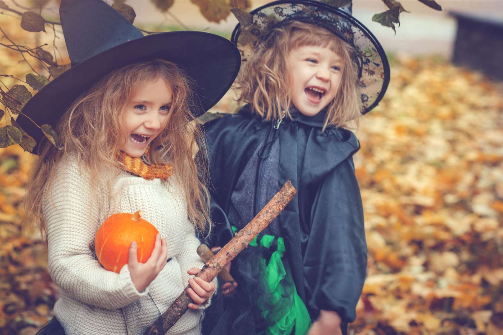Halloween themed activities are available at half term