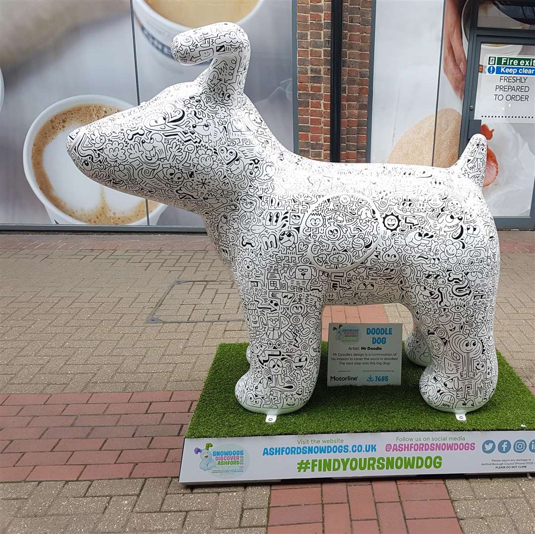 Internationally-renowned artist Mr Doodle decorated this dog live in public before it was put on display