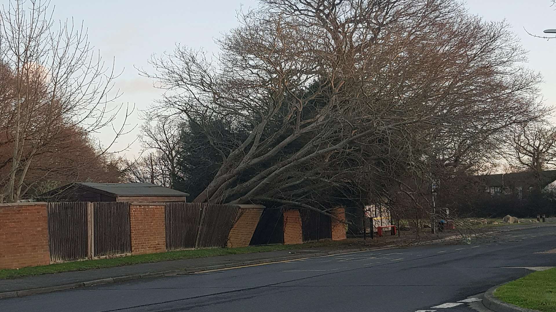 A toppled tree in Washford Farm Road, Ashford. Picture: Jim Park.