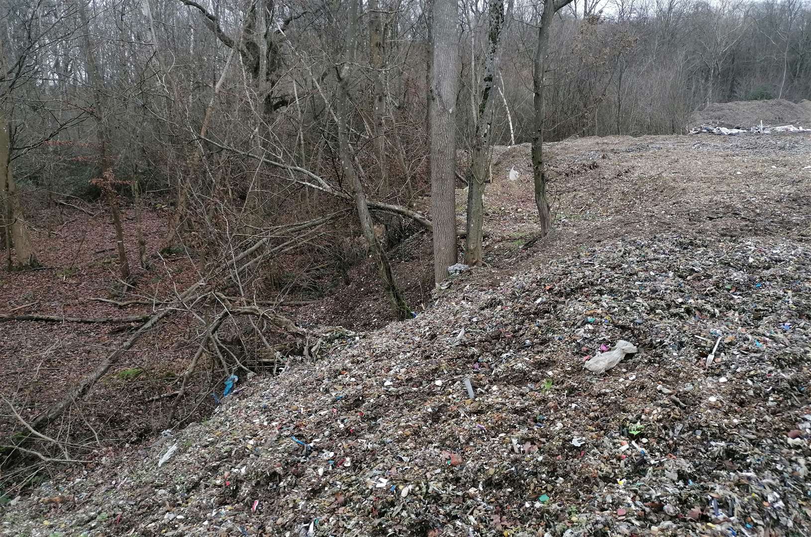 Huge piles of rubbish have been spotted in Hoad’s Wood