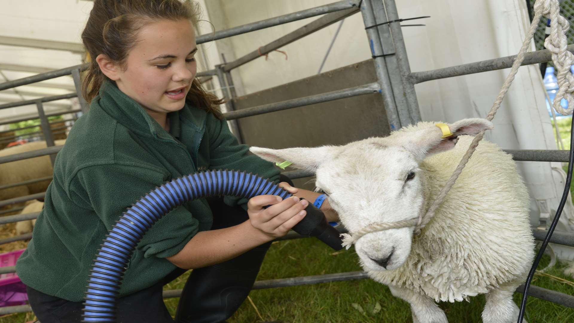 This year's Kent County Show runs from on Friday, July 8 to Sunday, July 10