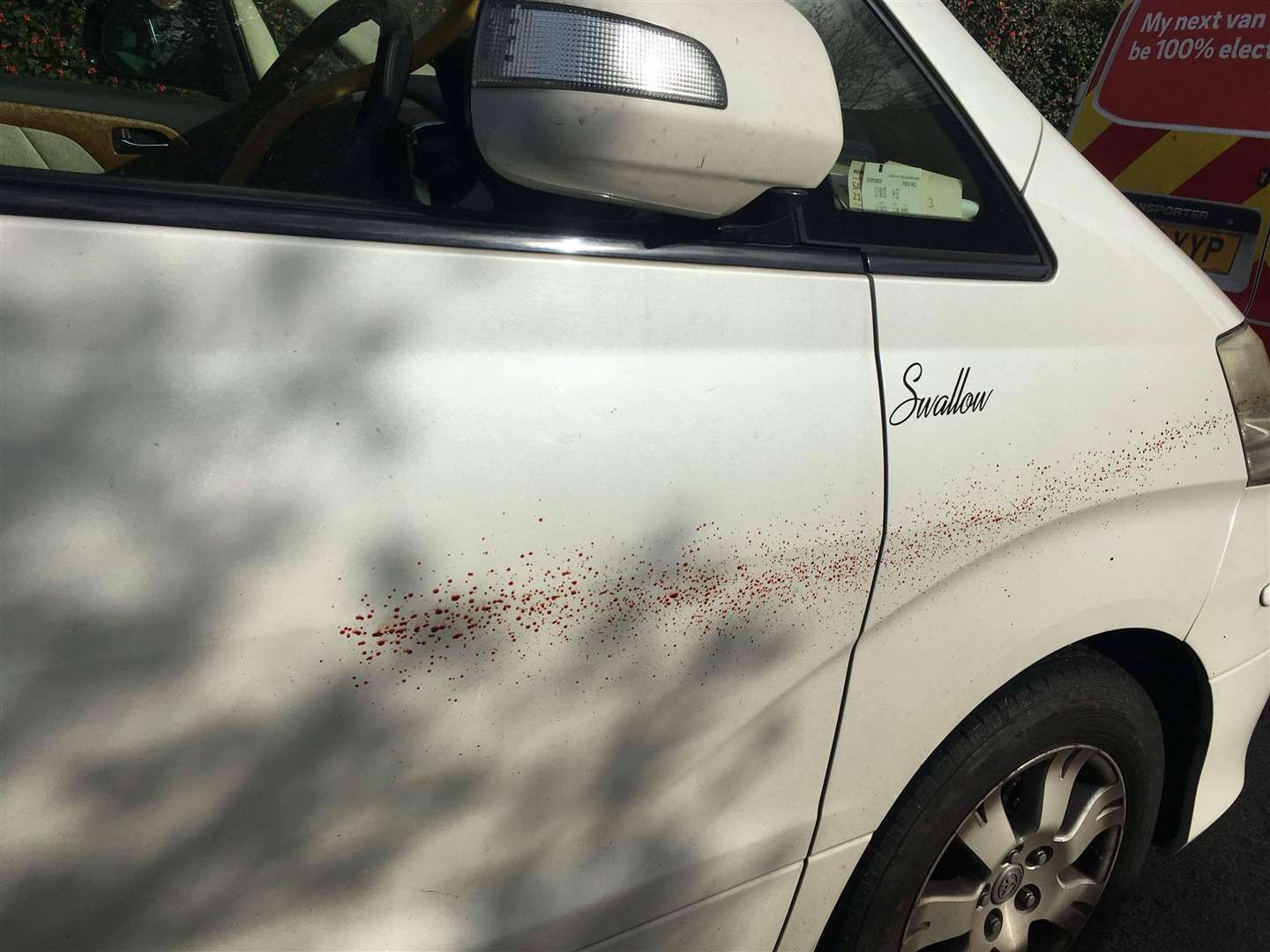 The Staple Road resident said she thinks the marks were too high on each vehicle to have been from an animal. Picture: Jane Theoff