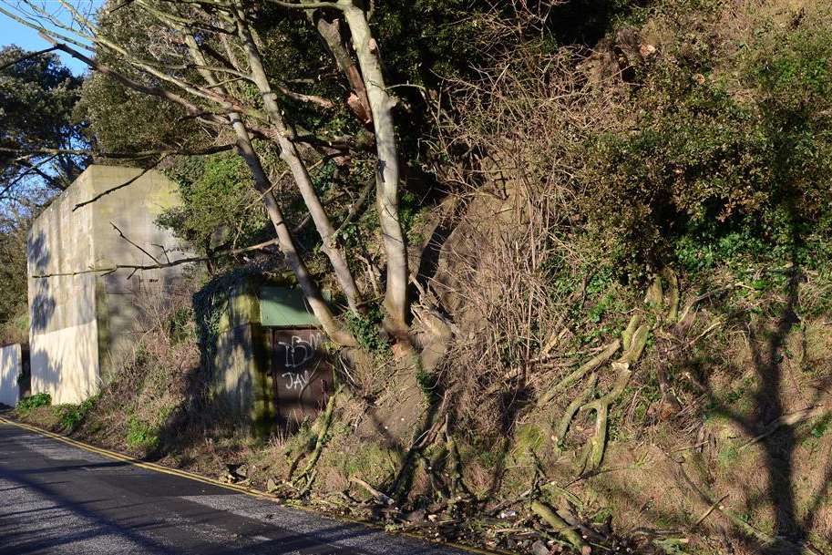 A cherry picker will be hired to clear the landslip in Remembrance Road