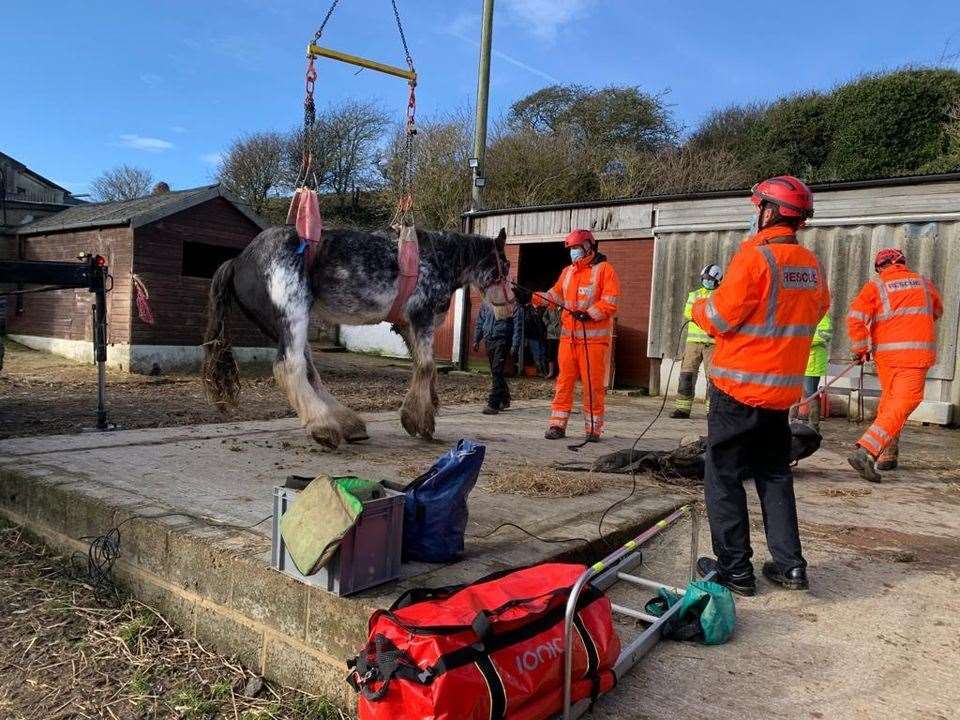 Grace lowered back to the ground after being hoisted. Picture: Kent Fire and Rescue Service