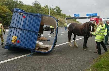 One of the horses is treated at the scene of the accident. Picture: PETER STILL