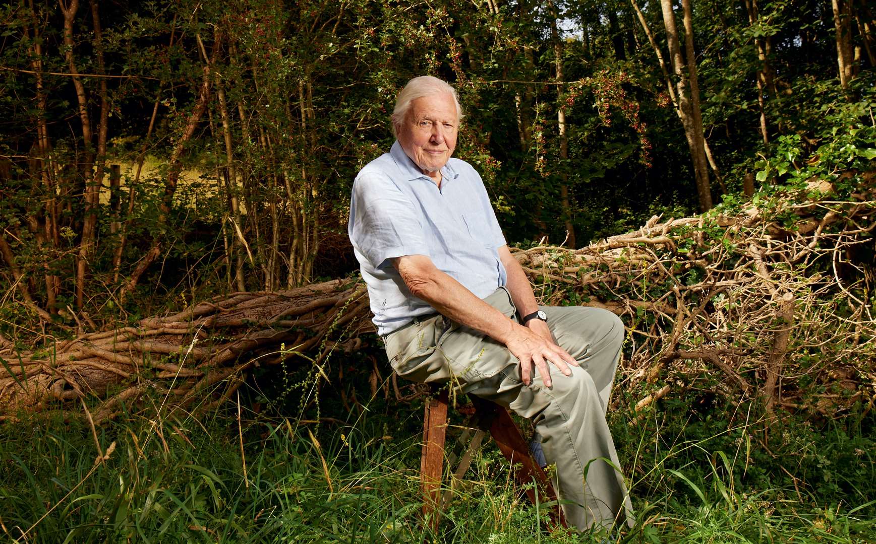 Sir David Attenborough at Downe Bank Nature Reserve in Bromley. Picture: Mark Harrison BBC
