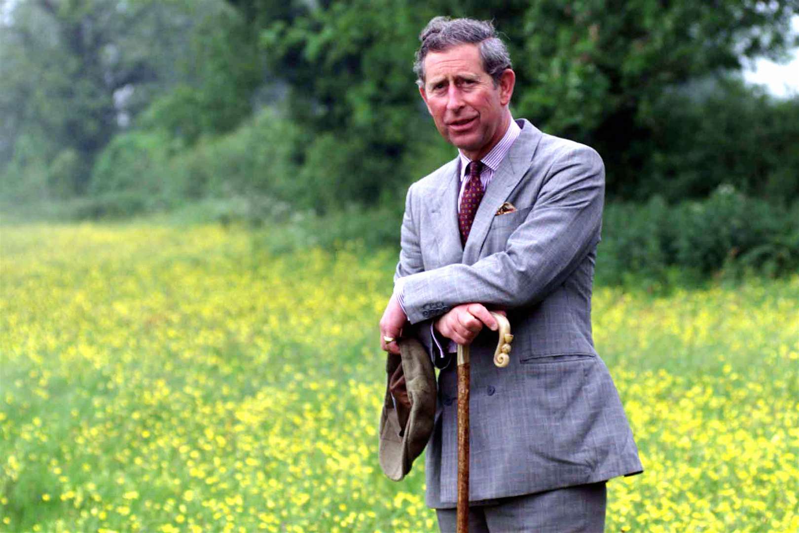 The Prince of Wales visiting a Wiltshire hay meadow (Stefan Rousseau/PA)