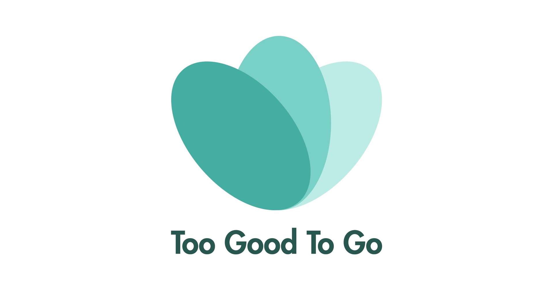 The Too Good To Go logo